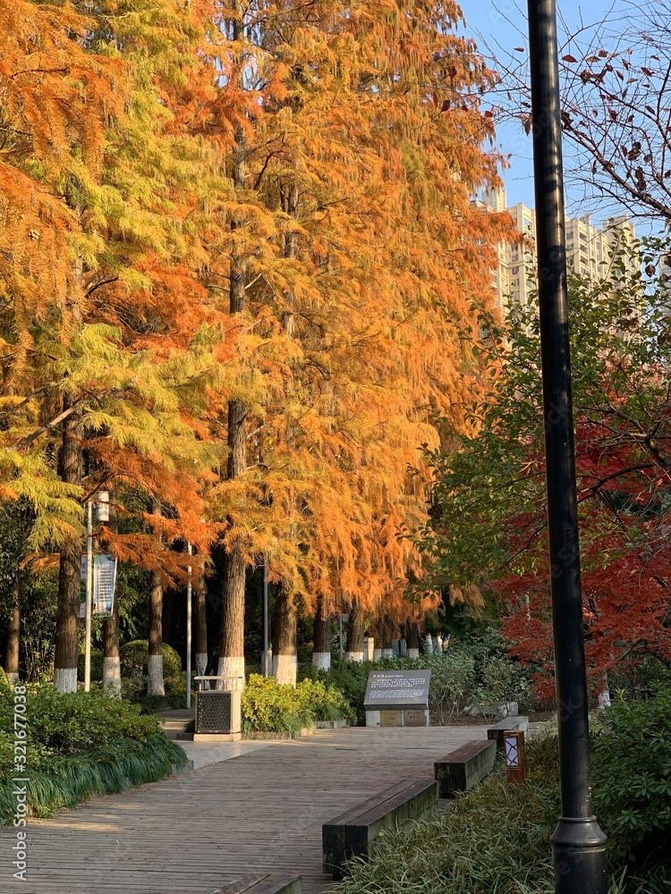 Fototapeta premium HongMei Park, Changzhou