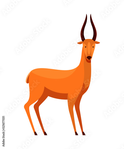 Roe deer with horns wild animal isolated on white