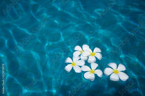 flowers in blue water