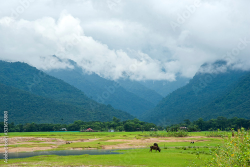 Bangladesh Landscape