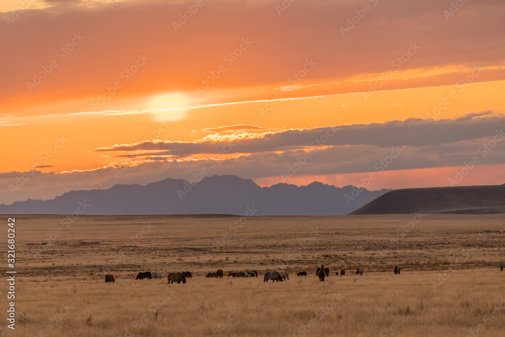 Herd of Wild Horses in a Utah Desert Sunset