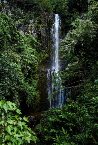 Waterfall through the Road to Hana