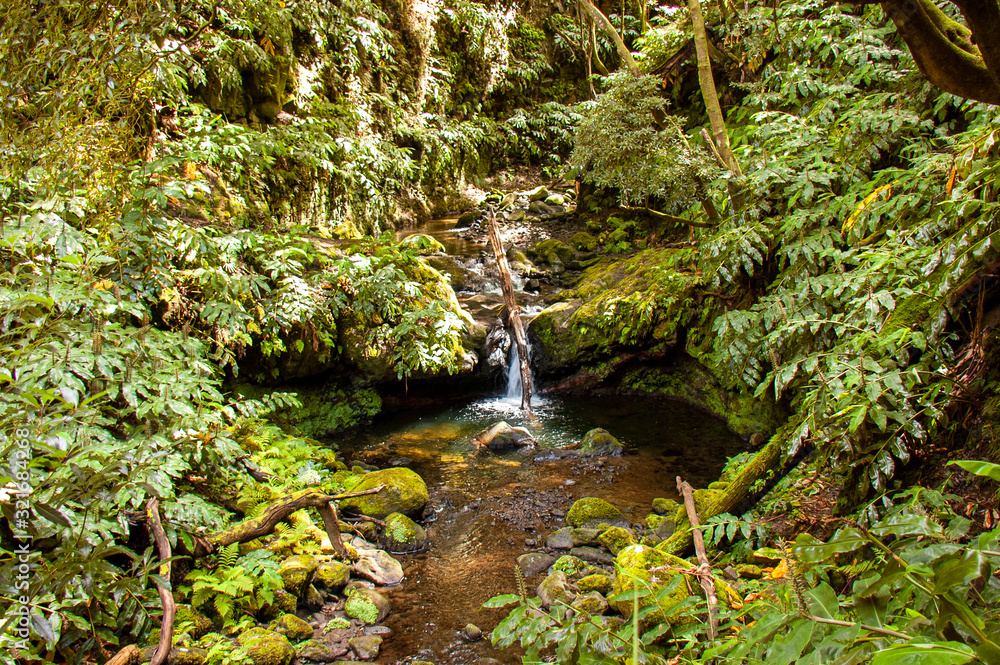 View of the water cascade in Ribeira dos Caldeiroes Natural Park, Nordeste, Sao Miguel island, Azores, Portugal View of the water cascade in Ribeira dos Caldeiroes Natural Park, Nordeste, Sao Miguel island, Azores, Portugal