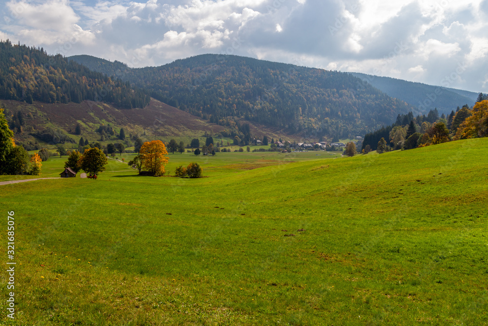 Landscape with green meadow, multi colored trees, mountain range with forest nearby Menzenschwand,  Germany