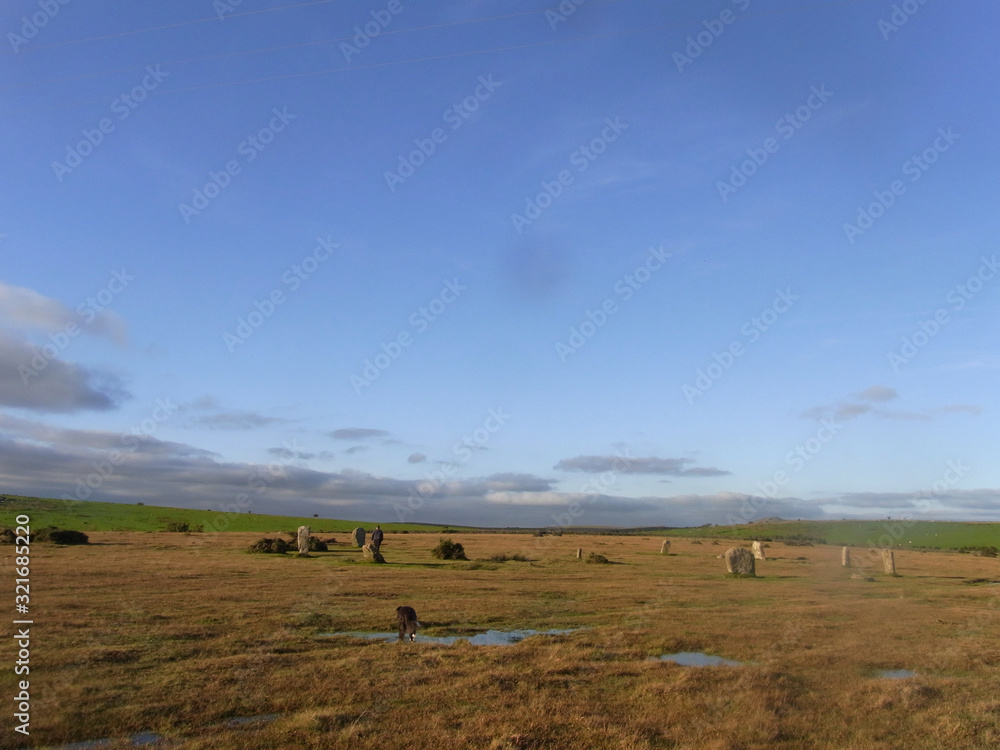Trippet Stone Circle, Bodmin,Cornwall, UK. 2014/4/25. Bodmin pony or is it a Unicorn by a standing stone part of Trippet Stone Circle, near Blisland, Bodmin Moor. Bronze age with a diameter of 104.6 f