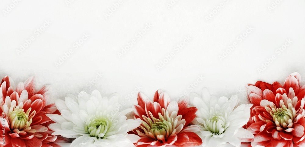 Beautiful spring flowers bouquet for greetings isolated on white, copyspace, flyer