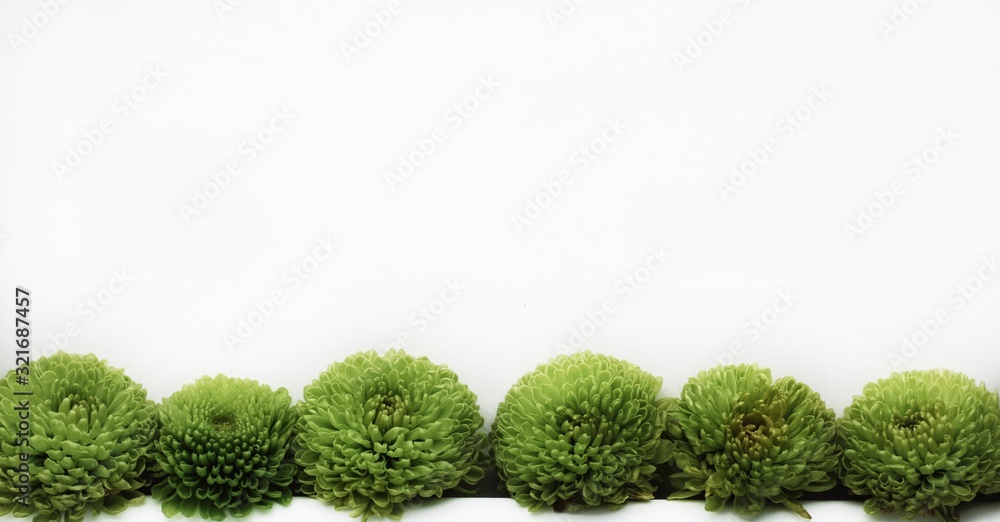 Beautiful spring flowers bouquet for greetings isolated on white, copyspace, flyer