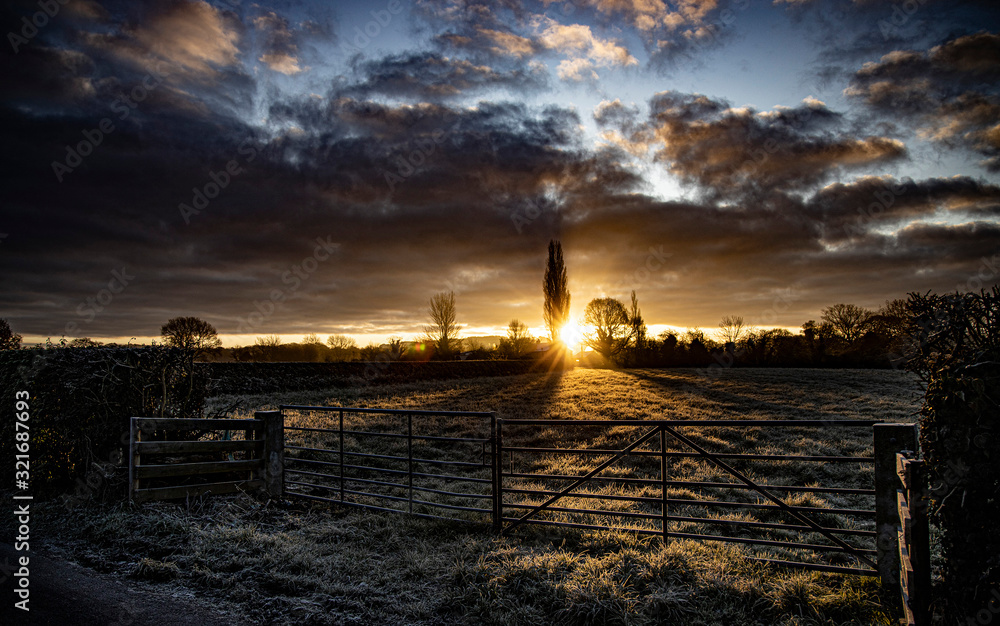 field at frozen dawn