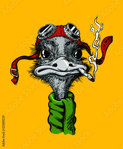 Ostrich pilot, isolated, in bright color hand-drawn, with a feather on a yellow background. With big eyes in the pilot's glasses, with a green scarf in retro style.