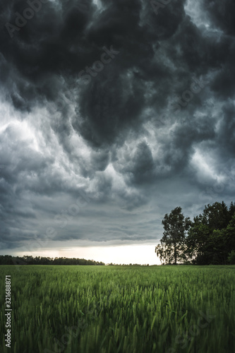 Dark storm clouds over a field