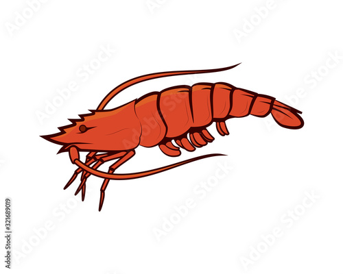 Detailed Shrimp Illustration as Sea Animal Entity