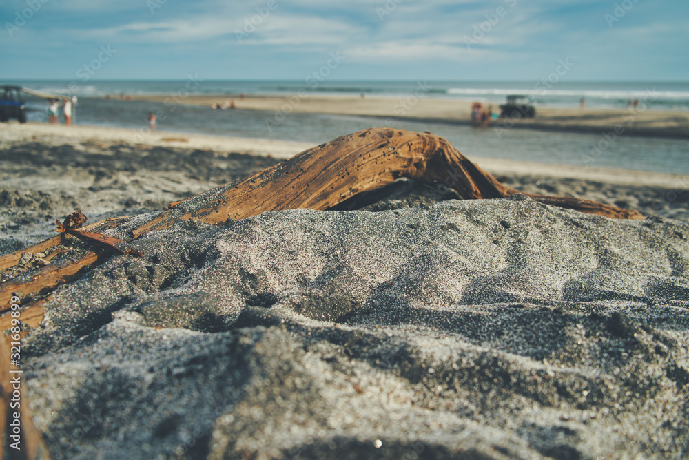 Ein gestrandetes Holz in Panama am Strand, dem Meer und Horizont im Hintergrund, Urlaubsgrüße Ein gestrandetes Holz in Panama am Strand, dem Meer und Horizont im Hintergrund, Urlaubsgrüße