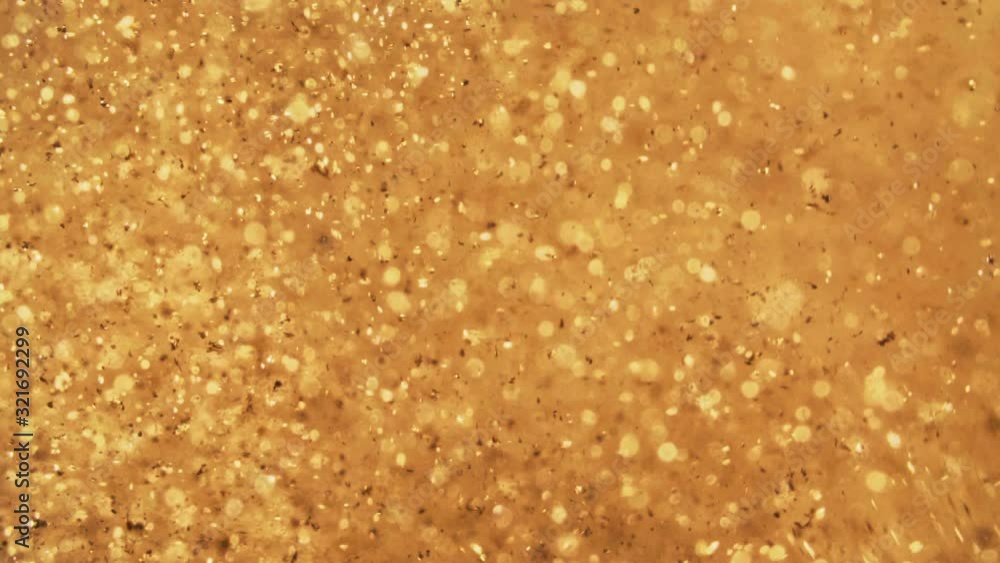 Abstract golden particles with blurred defocused bokeh moves chaos, snow flakes