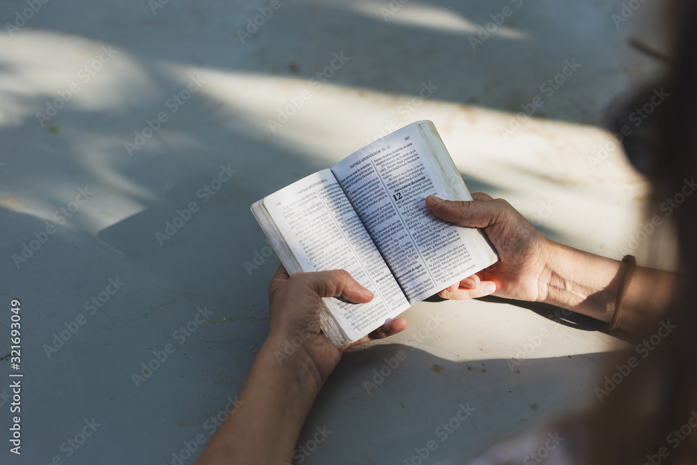 Fototapeta premium Rear view of person reading the Bible outdoor