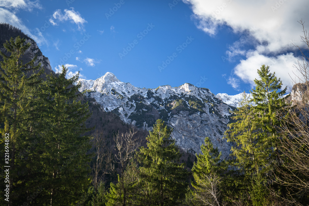 beautiful winter mountain range in slovenia
