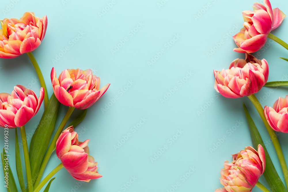 Spring flowers, tulips on pastel colors background. Retro vintage style. Spring flowers, tulips on pastel colors background. Retro vintage style.
