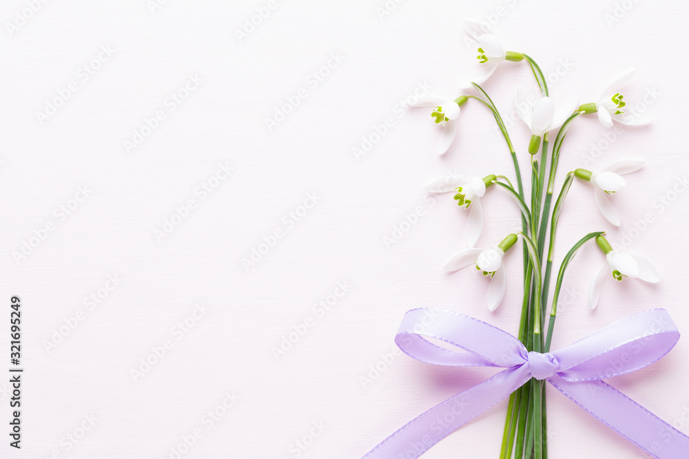 Fresh snowdrops on pink background with place for text. Spring greeting card. Fresh snowdrops on pink background with place for text. Spring greeting card.