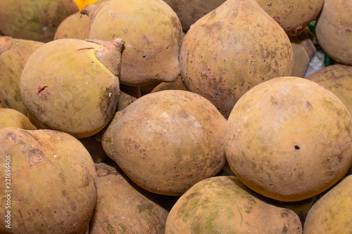 Sapodilla (Matisia cordata) photo