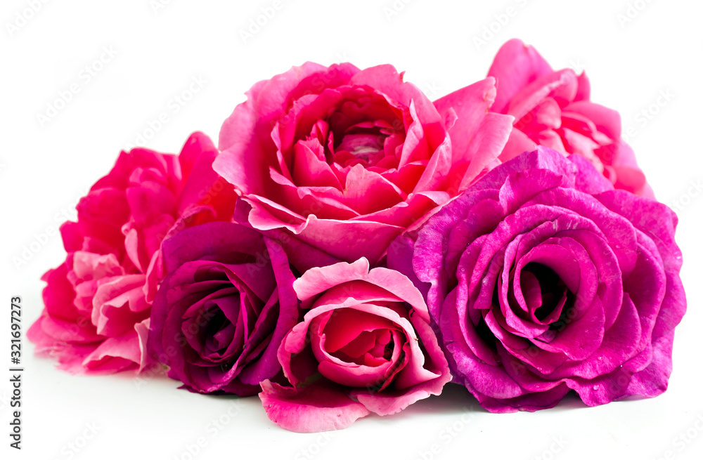 Bouquet of pink rose flowers isolated on a white background. Bouquet of pink rose flowers isolated on a white background.