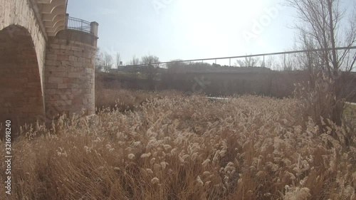 Puente antiguo sobre vegetación