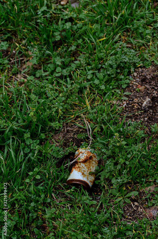 Fototapeta premium Old rusty soft drink can lying in a meadow. Concept of ecology.