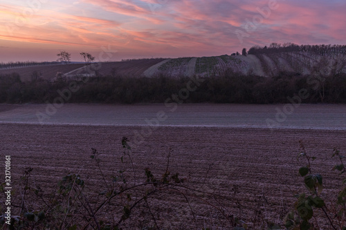 Sonnenaufgang in den Feldern Rheinhessens photo