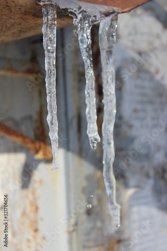 water drops on icicles  