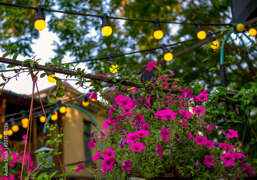 House yard, decorated with fresh blooming pink petunia flowers and yellow lamps. Summer garden