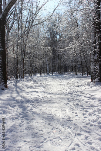 Winter landscape with snowy road in winter forest in sunny day © Olesia I