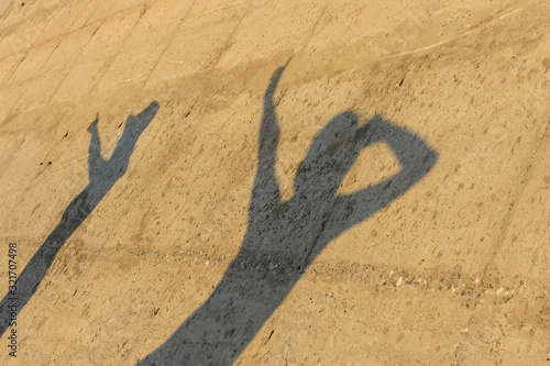 Sombra de mujeres felices bailando sobre pared de cemento