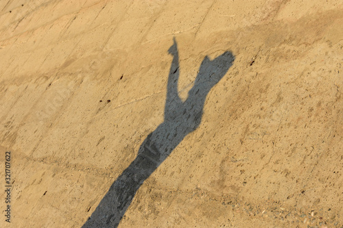 Sombra de mujer con sombrero señalando sobre pared de hormigón 
