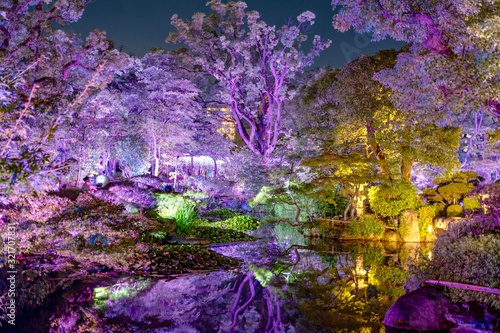 日本庭園 / イルミネーション / Japanese garden illumination