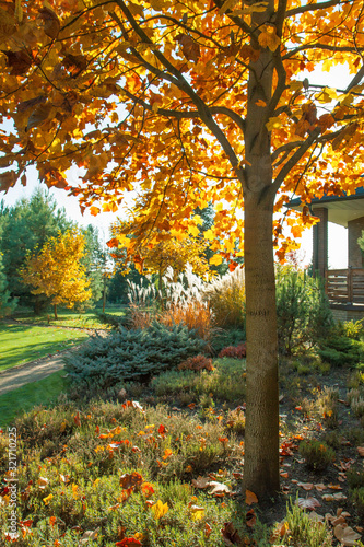 Beautiful alpine hill with trees, bushes and ornamental grasses in the autumn park. 