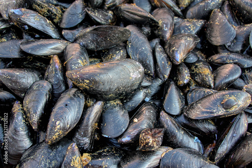 Seafood - Black mussels of Taranto