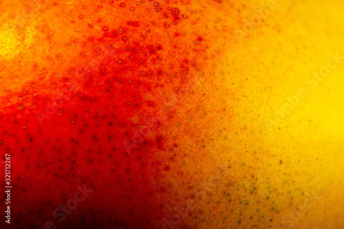 Obraz na płótnie mango