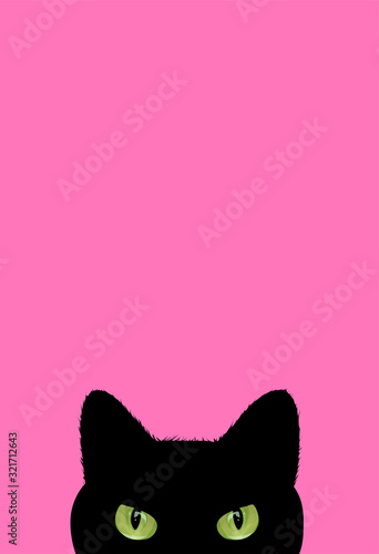 Black cat - Friday the 13th. freehand design. Good for scrap booking, posters, greeting cards, banners, textiles, gifts, T-shirts, mugs, phone wallpapers or other gifts. Curious cat hides and peeps. 