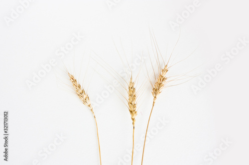 Three Ears of wheat on a white background