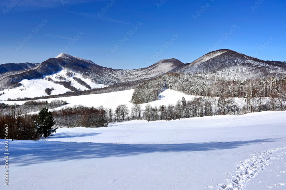 Beautiful winter landscape in mountains with snow covered trees