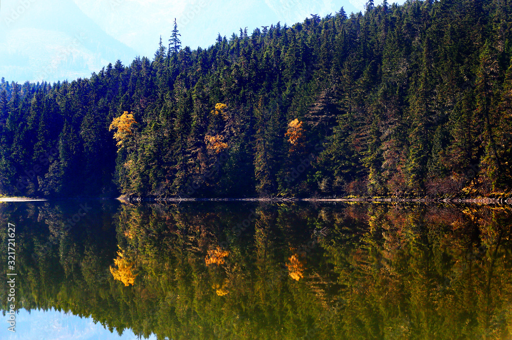 Lake with autumn forest reflected in the water