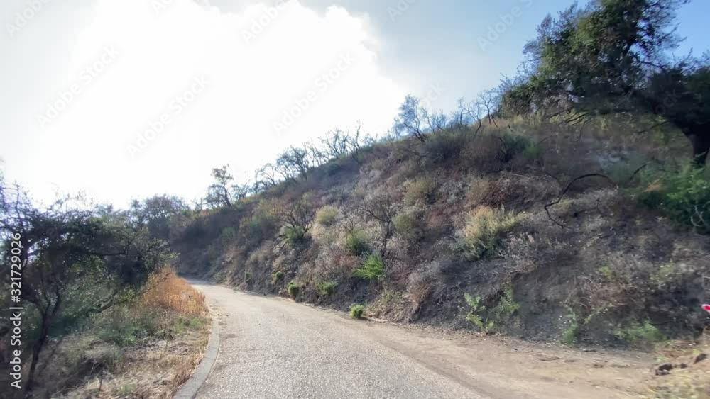 Driving a car on a narrow road in the canyon Malibu. Visible burned bushes and trees after the fire. Warm sunny day in Malibu California USA. Driving a car on a narrow road in the canyon Malibu. Visible burned bushes and trees after the fire. Warm sunny day in Malibu California USA.