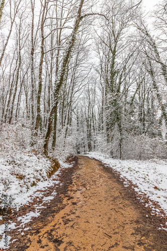 Muddy pathway in snowy forest