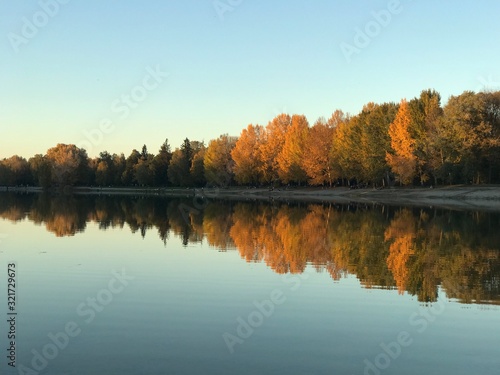 Tree reflection on the water in the autumn. Kuhsee lake in Augsburg, Bayern, Germany.