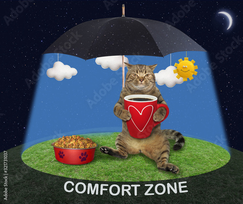 The beige cat is sitting near a bowl with dry food and drinking coffee under a black umbrella in the sunshine on a green meadow at night. Comfort zone.