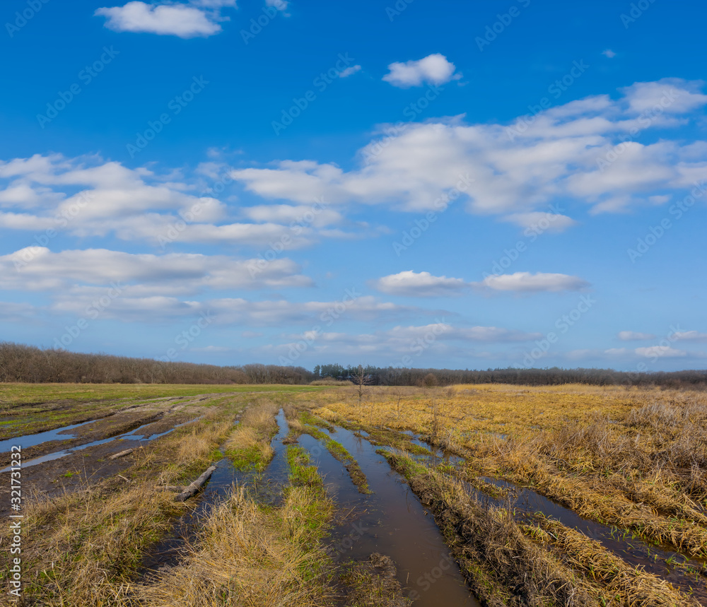 spring flooded prairie under a blue cloudy sky spring flooded prairie under a blue cloudy sky