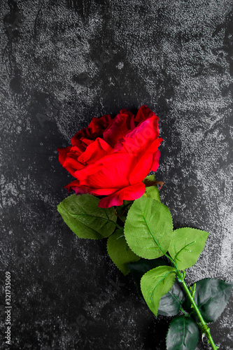 Big red rose on a grunge grey background