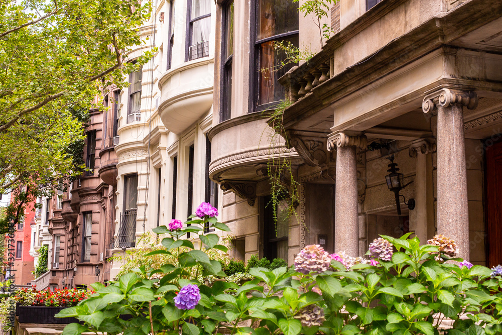 Beautiful row on New York City brownstone homes. 