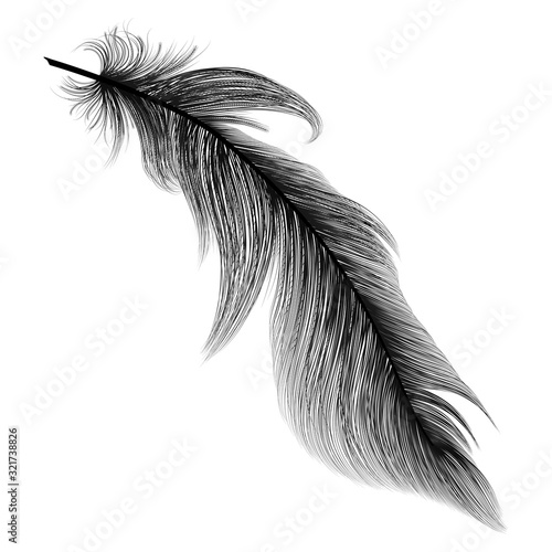 Feather isolated on white.Vector illustration.