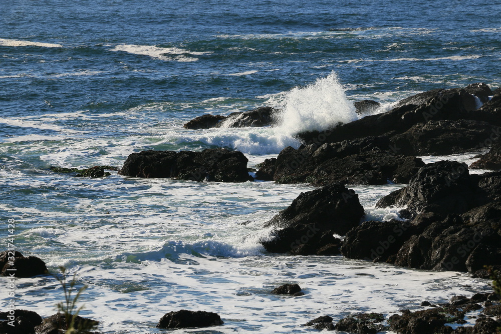 Naklejka premium Sunny Winter Day on the Ocean