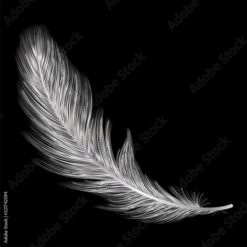 Feather isolated on black.Vector illustration.