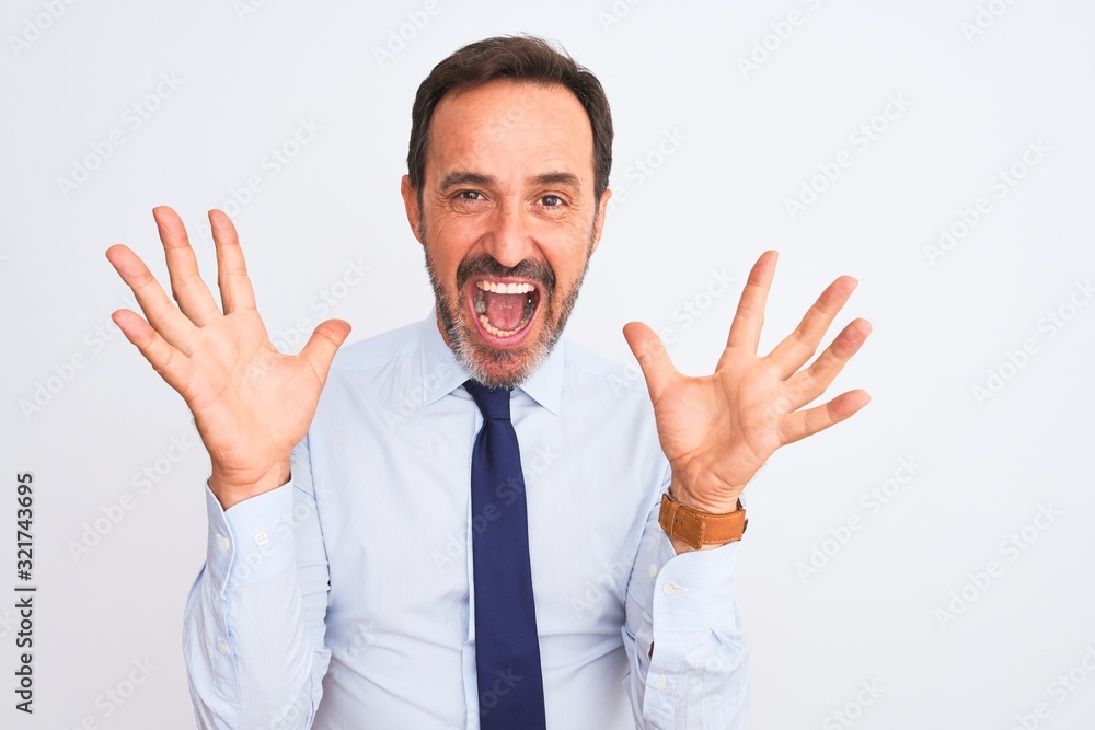 Middle age businessman wearing elegant tie standing over isolated white background celebrating crazy and amazed for success with arms raised and open eyes screaming excited. Winner concept Middle age businessman wearing elegant tie standing over isolated white background celebrating crazy and amazed for success with arms raised and open eyes screaming excited. Winner concept